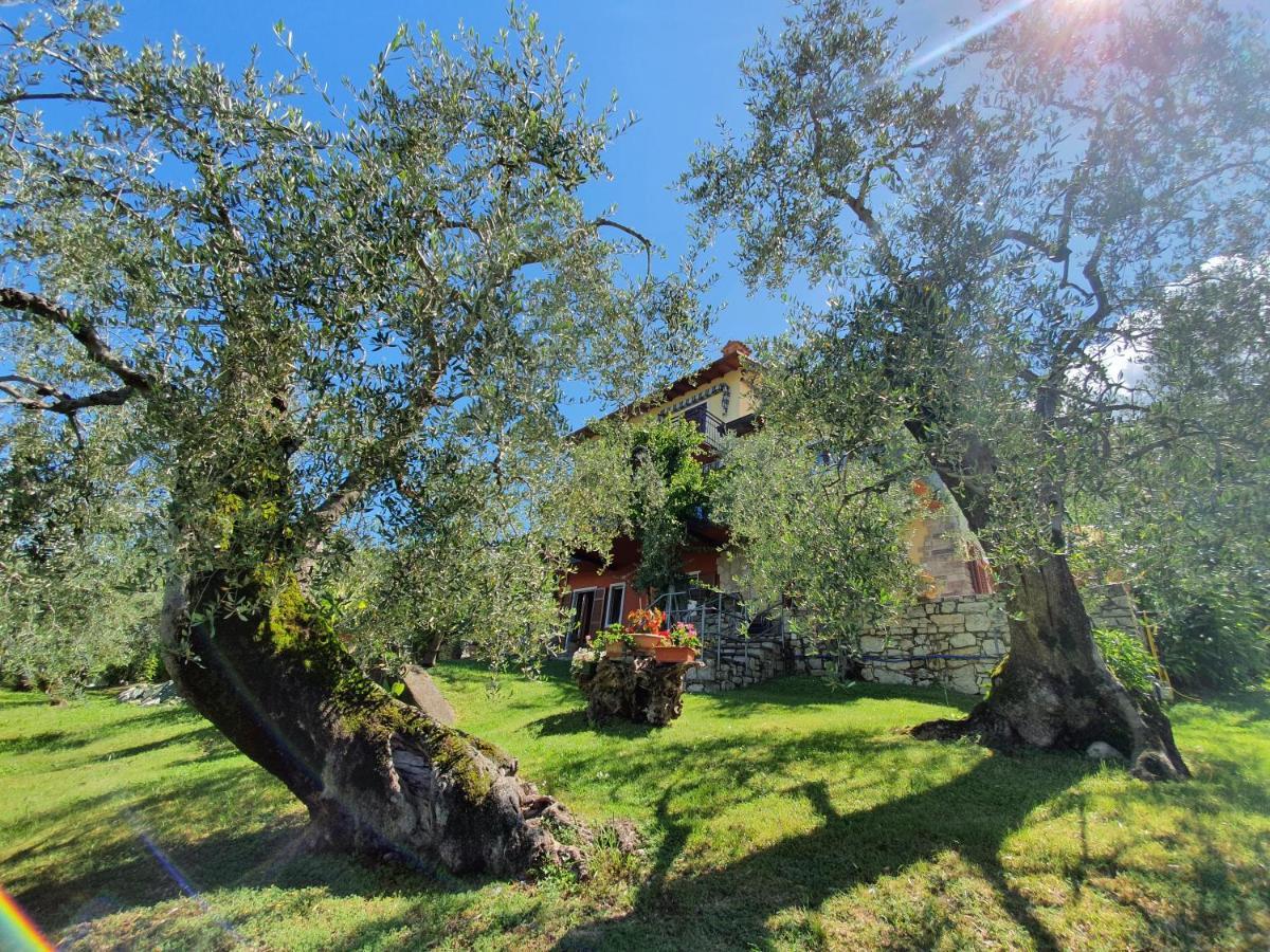 Casa Valenti Apartment Brenzone sul Garda Luaran gambar