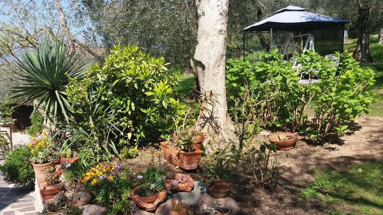 Casa Valenti Apartment Brenzone sul Garda Luaran gambar